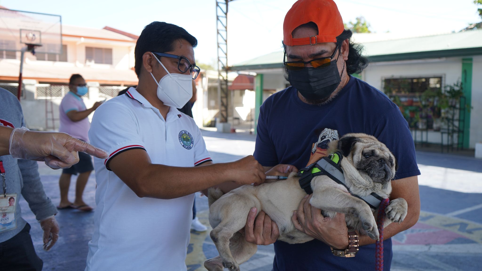 Kampanya Kontra Rabies ng City Veterinary Office sa iba’t-ibang ...